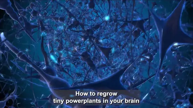 Video: The science of cellular brain energy